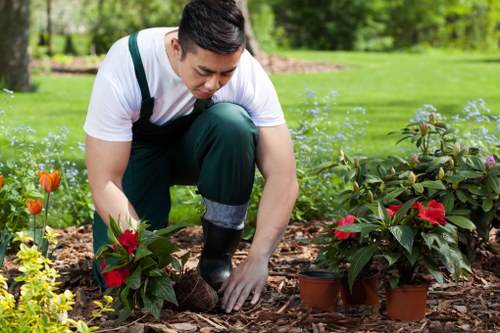 A person kneeling in a well-maintained garden bed surrounded by vibrant red and green foliage, working with their hands to tend to potted plants and flowering shrubs. The garden features a lush, expansive lawn with neatly edged flower beds, influencing a tidy outdoor environment. In the background, a row of tall trees provides shade and natural separation from the surrounding green space. The scene is set on a bright, sunny day, with soft natural light illuminating the gardenâ€™s natural tones and textures of the plants, soil, and mulch. The individual is dressed in a white t-shirt, dark green overalls, and rubber boots, indicative of regular gardening activity. The overall setting suggests careful outdoor maintenance typical of residential gardens in Harlesden or nearby areas, reflecting the work of gardening services such as those offered by Gardening Services Harlesden, ensuring healthy plants and an inviting garden landscape.